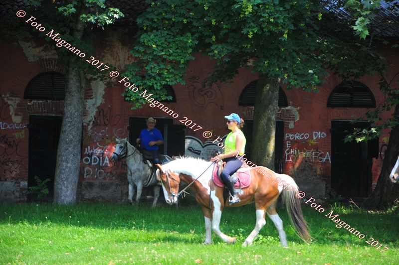 DSC_0929.JPG